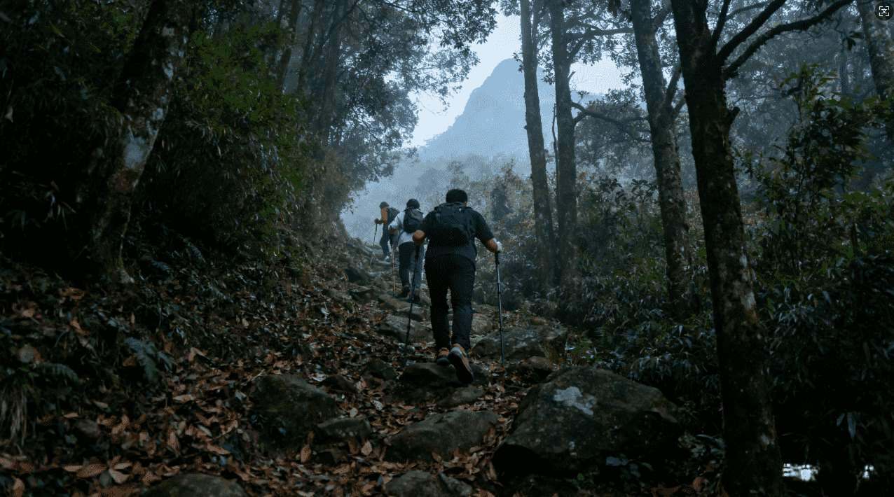 VPN加速器官方下载地址推荐